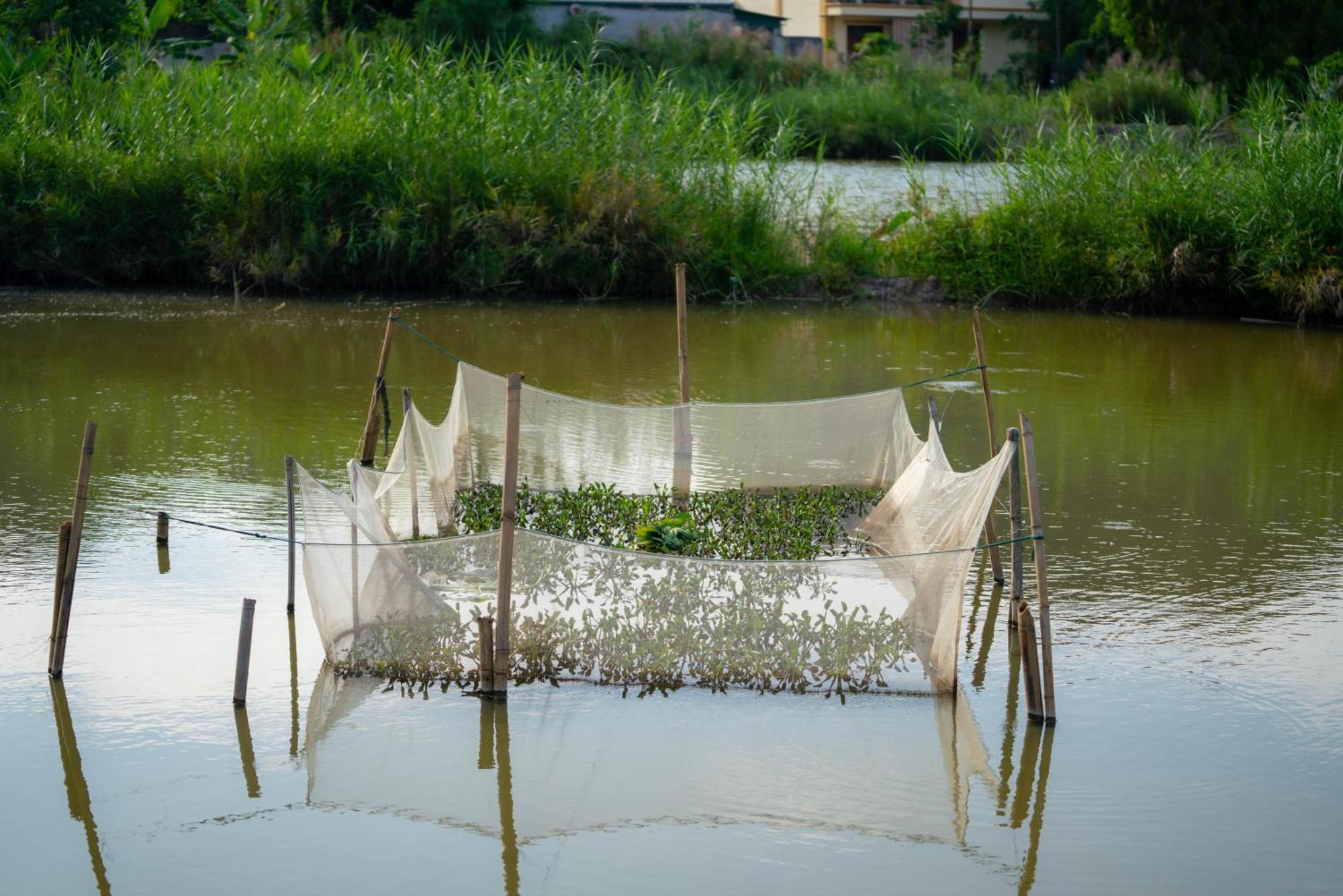 Tan Dinh Farmstay Ninh Binh Exterior photo